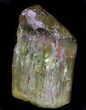 Apatite Crystal - Durango, Mexico #33509-1